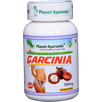 Garcinia Kapsule 60ks Planet Ayurveda